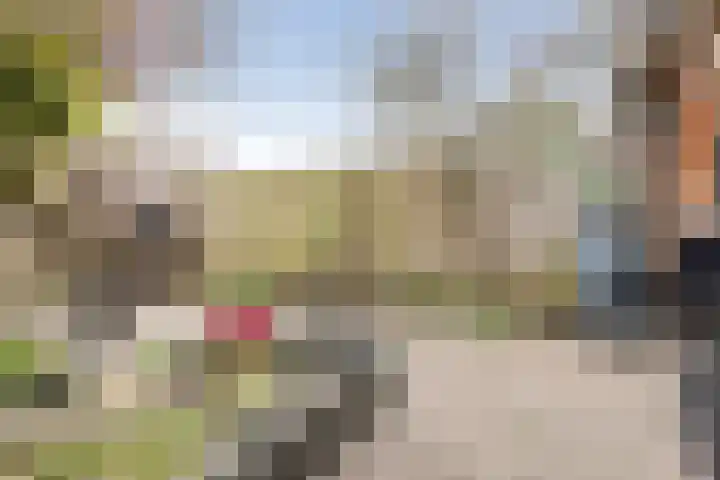 Waltmanstraat 3 Zwaanshoek thumbnail 18