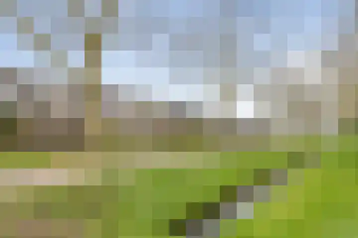 Waltmanstraat 3 Zwaanshoek thumbnail 21