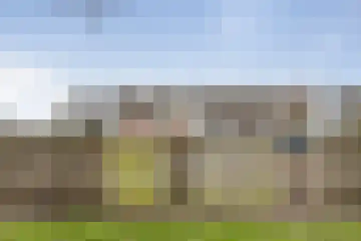 Waltmanstraat 3 Zwaanshoek thumbnail 22