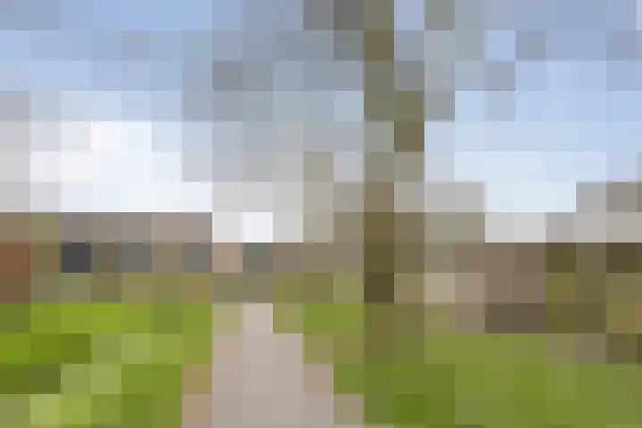 Waltmanstraat 3 Zwaanshoek thumbnail 23