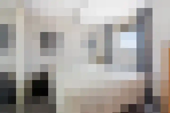 Waltmanstraat 3 Zwaanshoek thumbnail 33