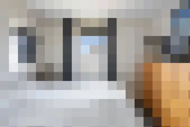 Waltmanstraat 3 Zwaanshoek thumbnail 34