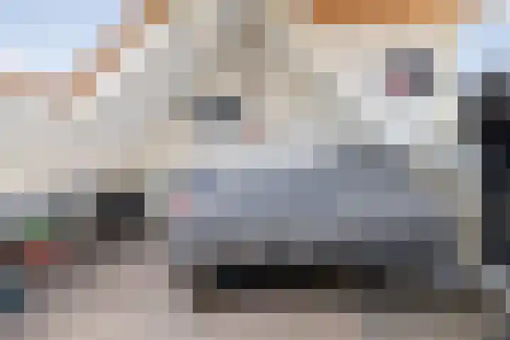 Waltmanstraat 3 Zwaanshoek thumbnail 37