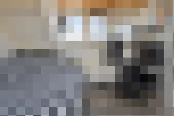 Waltmanstraat 3 Zwaanshoek thumbnail 38