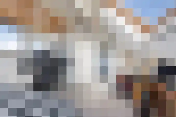 Waltmanstraat 3 Zwaanshoek thumbnail 40