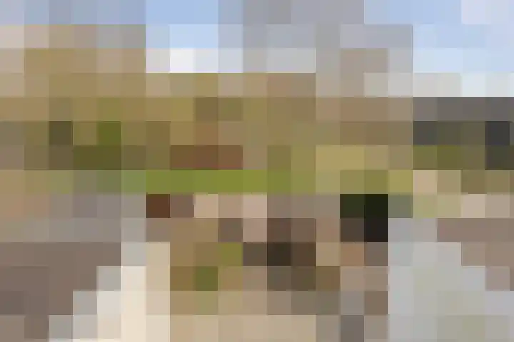 Waltmanstraat 3 Zwaanshoek thumbnail 41