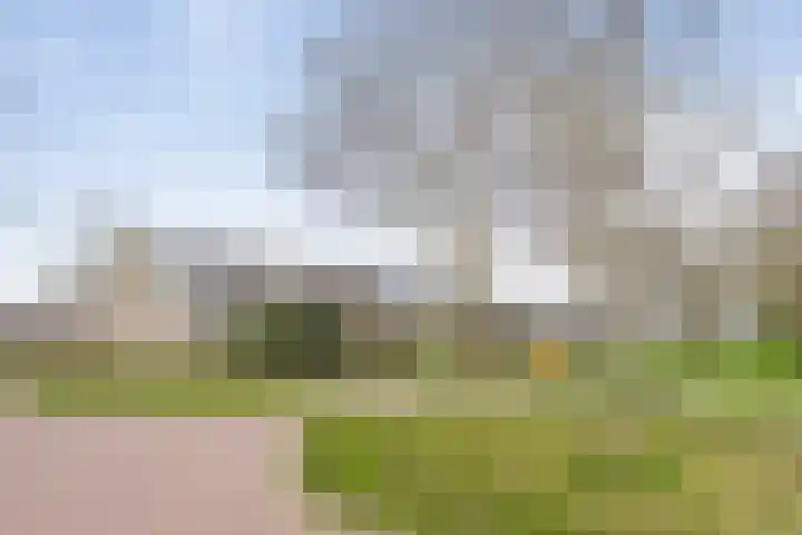 Waltmanstraat 3 Zwaanshoek thumbnail 45