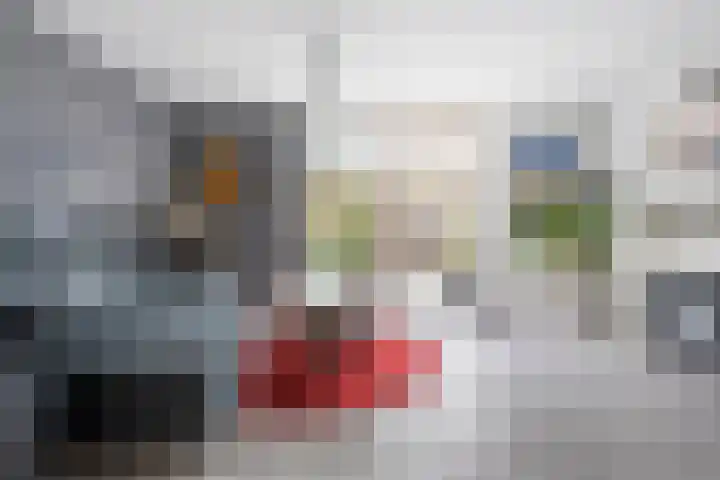 Waltmanstraat 3 Zwaanshoek thumbnail 5