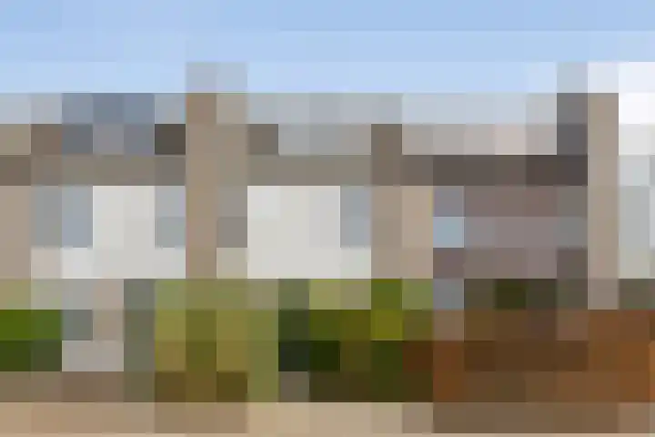 Waltmanstraat 3 Zwaanshoek thumbnail 51