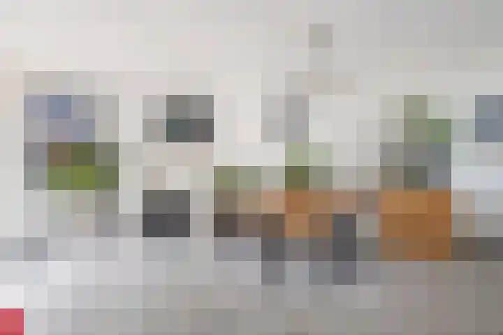 Waltmanstraat 3 Zwaanshoek thumbnail 6