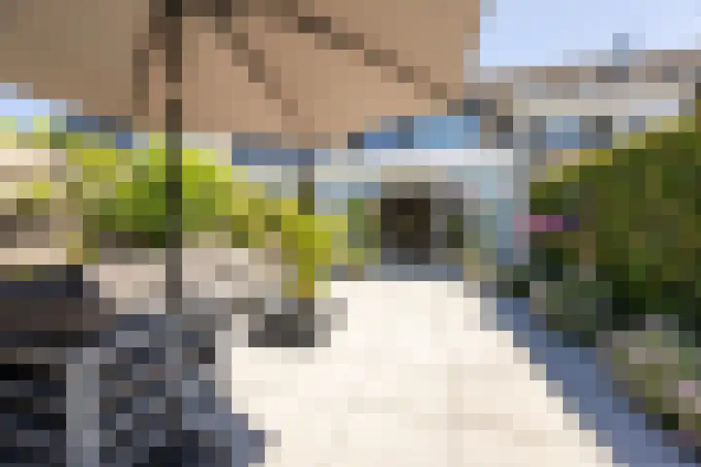 Waltmanstraat 63 Zwaanshoek thumbnail 23