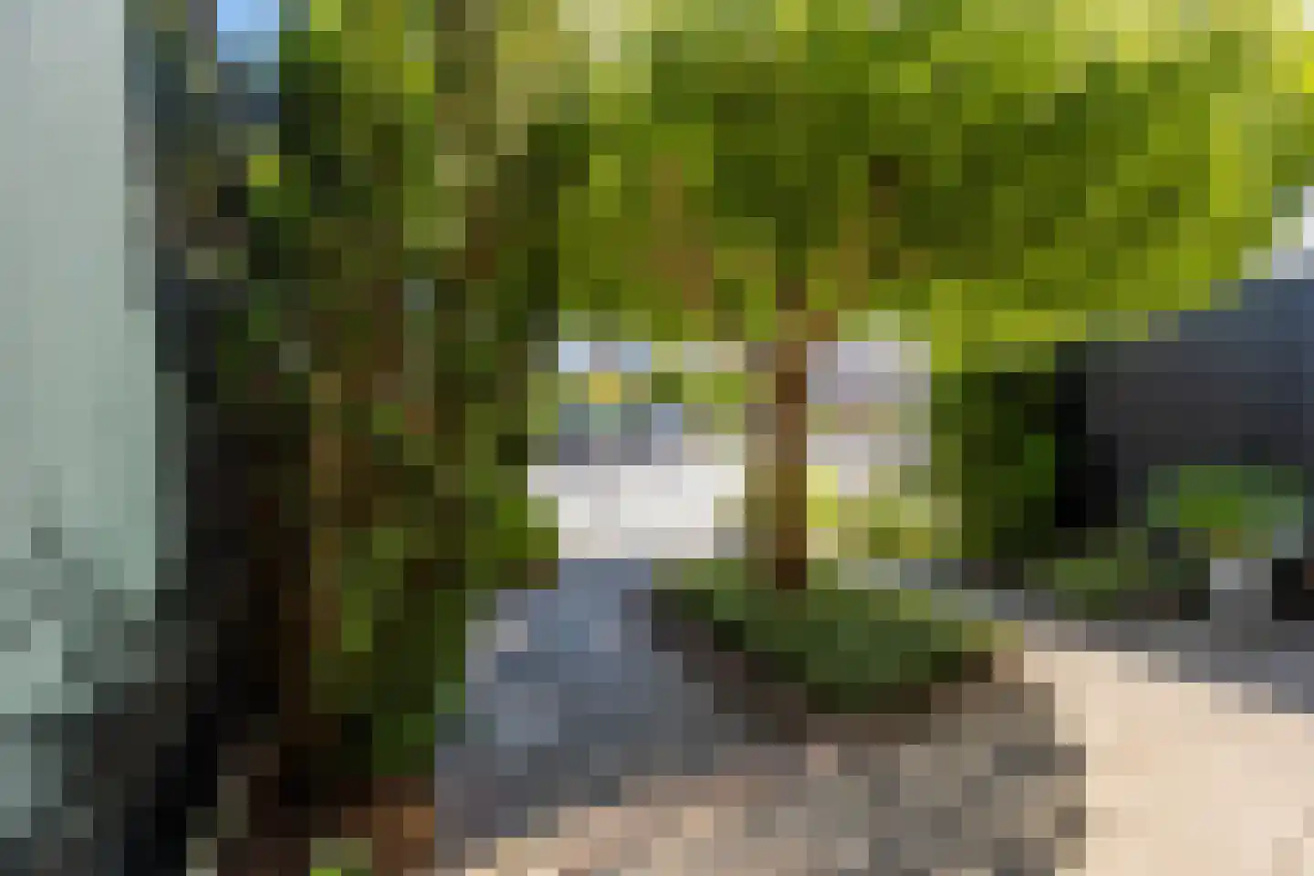 Waltmanstraat 63 Zwaanshoek thumbnail 40