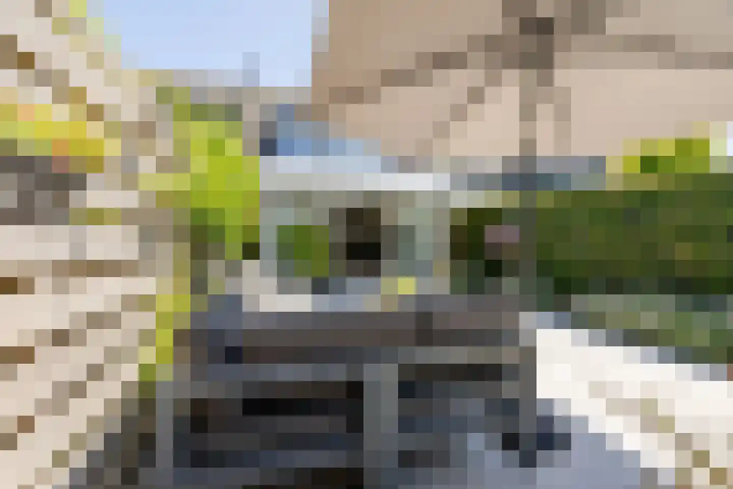 Waltmanstraat 63 Zwaanshoek thumbnail 6