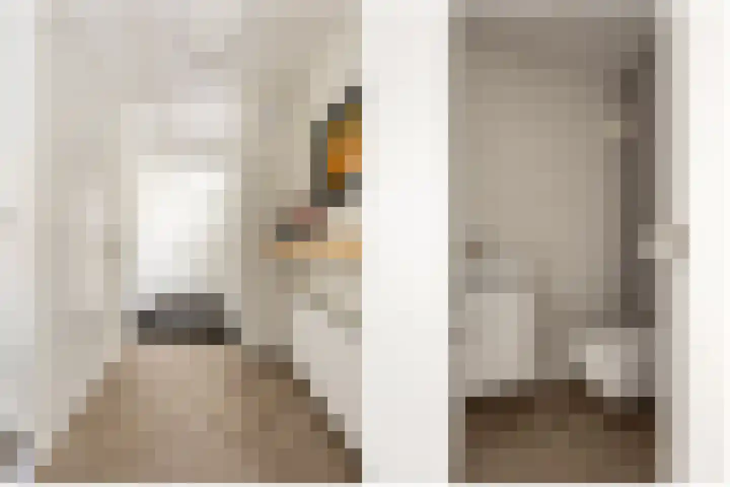Waltmanstraat 63 Zwaanshoek thumbnail 8