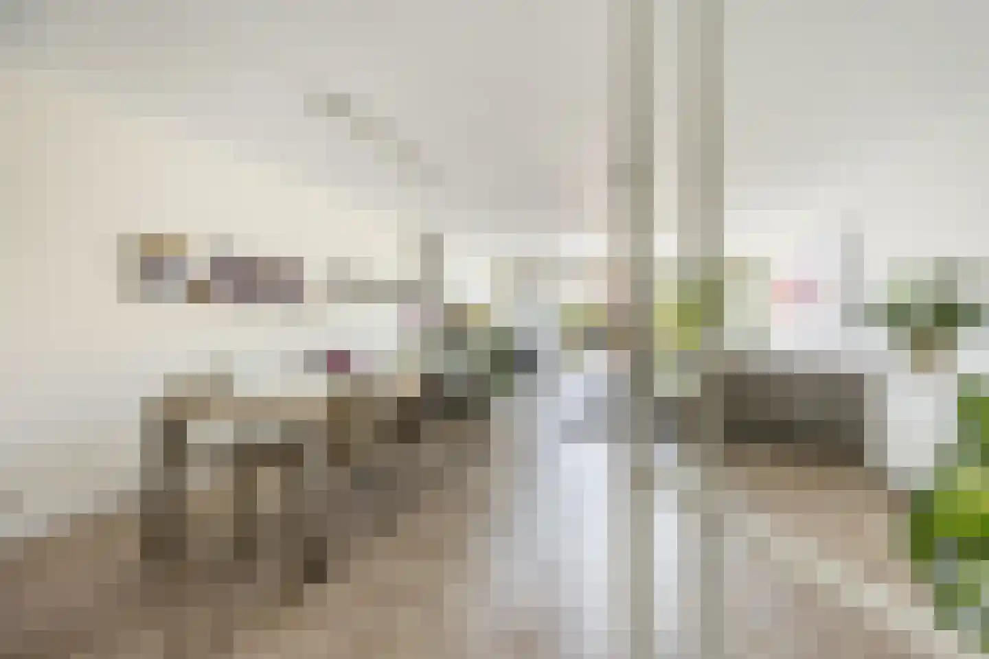 Waltmanstraat 63 Zwaanshoek thumbnail 9