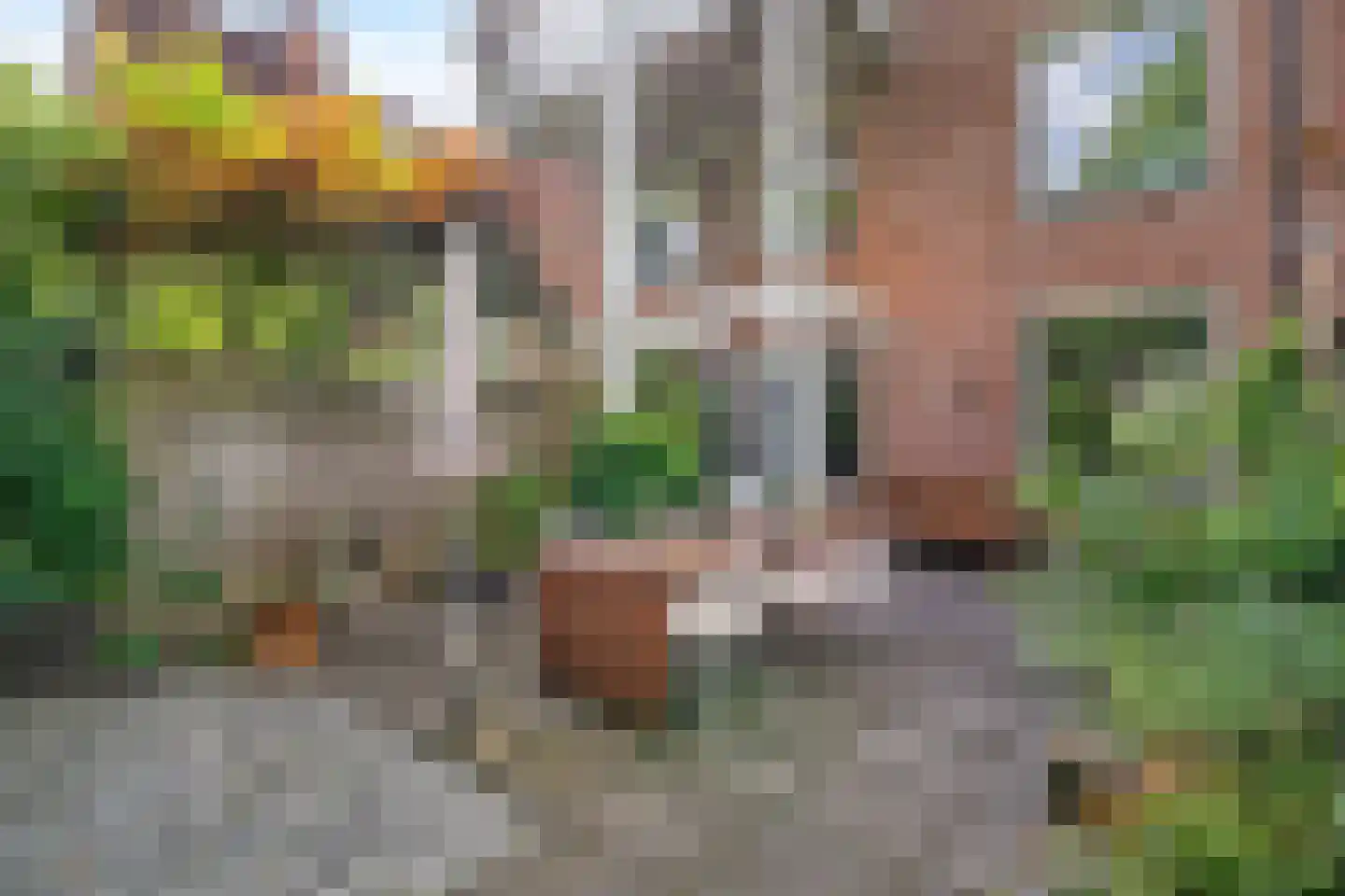 Waltoren 16 Amersfoort thumbnail 24