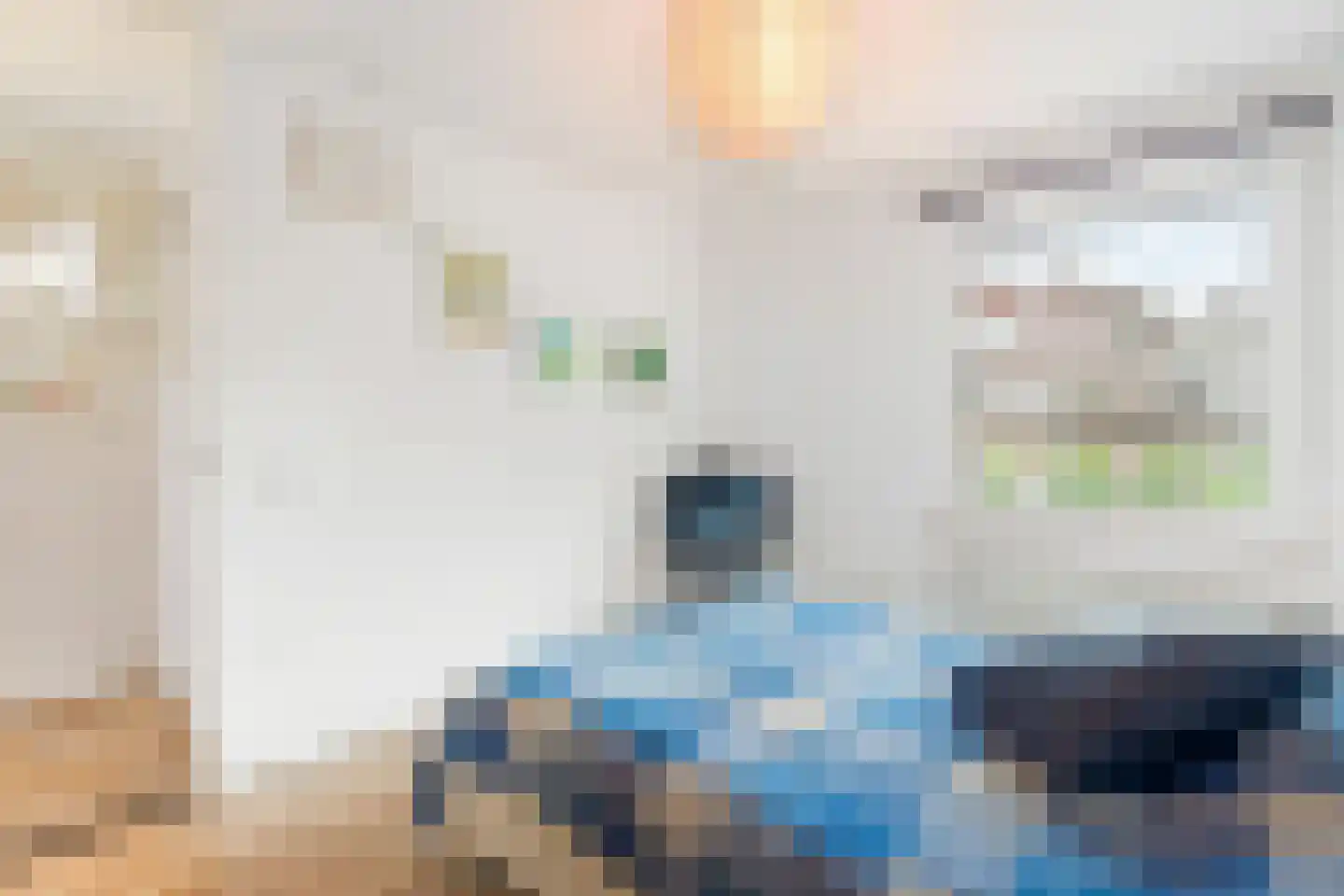 Waltoren 16 Amersfoort thumbnail 32