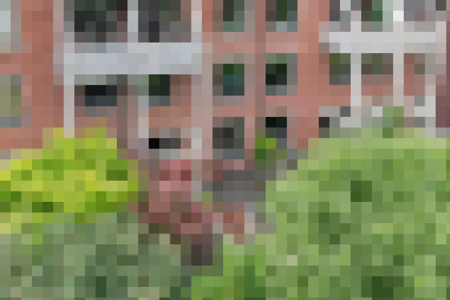 Waltoren 16 Amersfoort thumbnail 38
