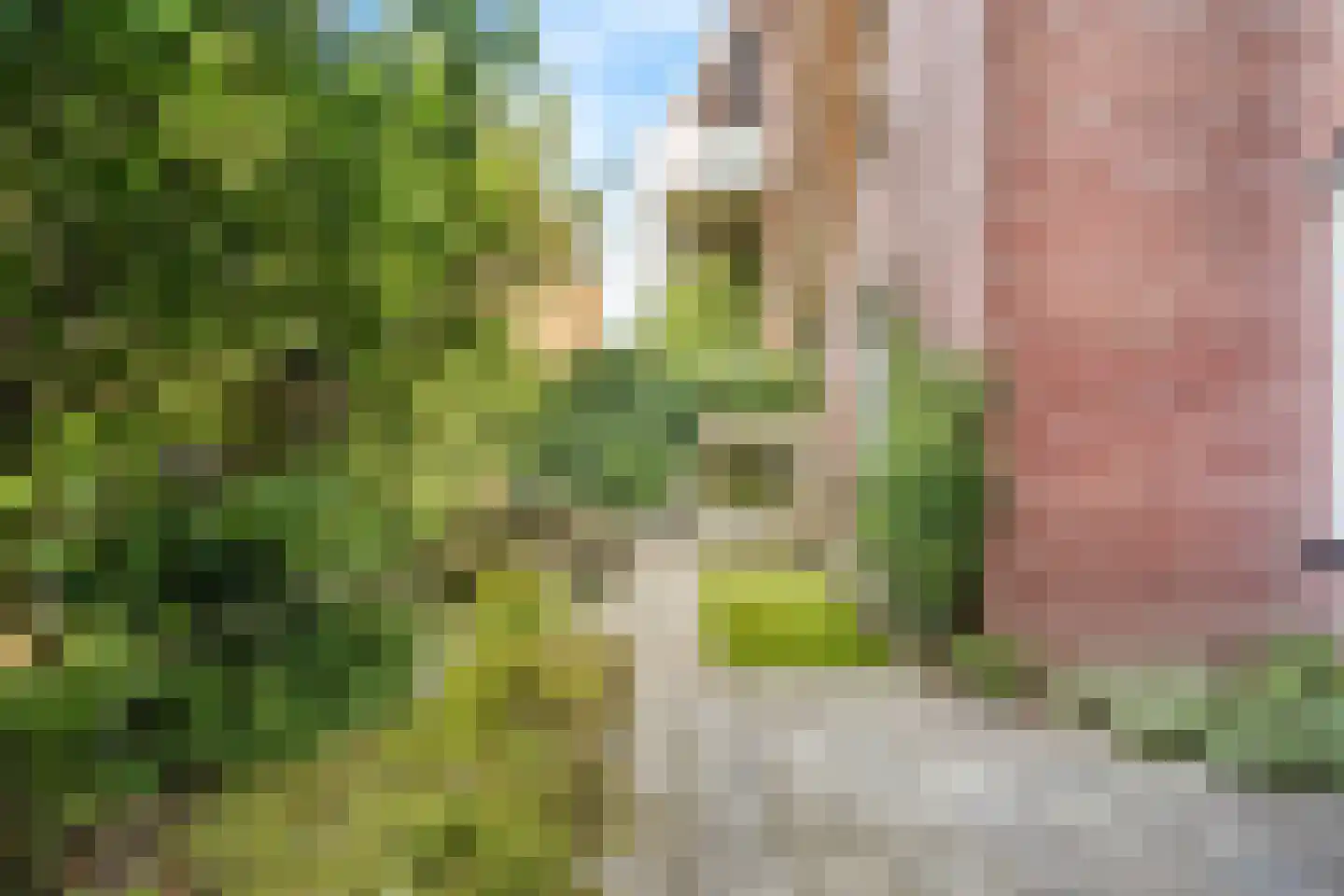 Waltoren 21 Amersfoort thumbnail 20