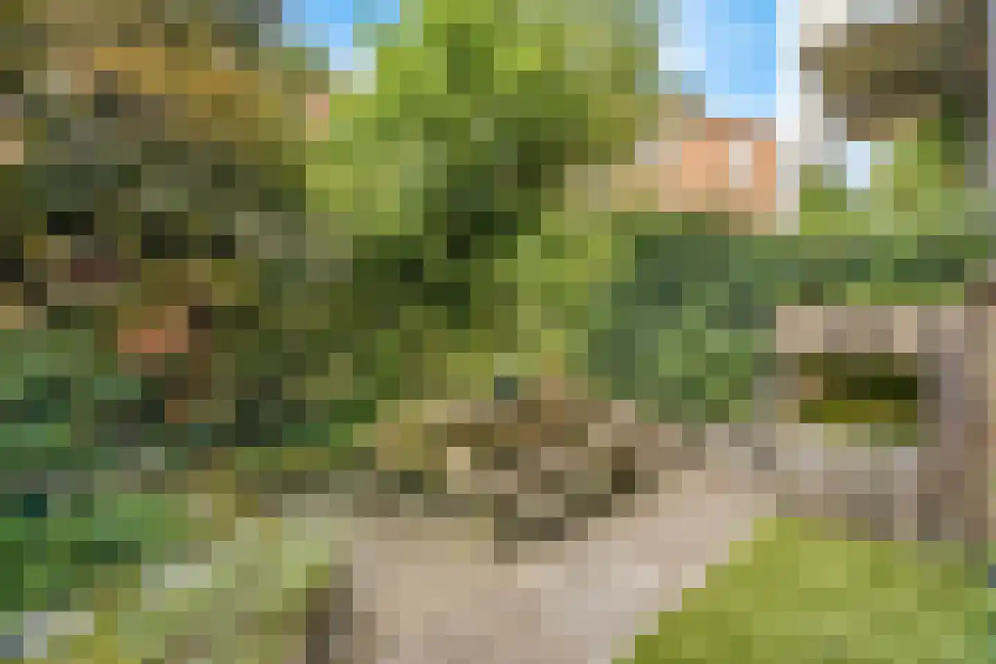 Waltoren 21 Amersfoort thumbnail 21