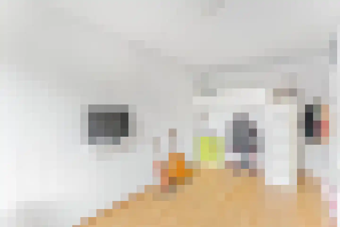 Waltoren 21 Amersfoort thumbnail 33