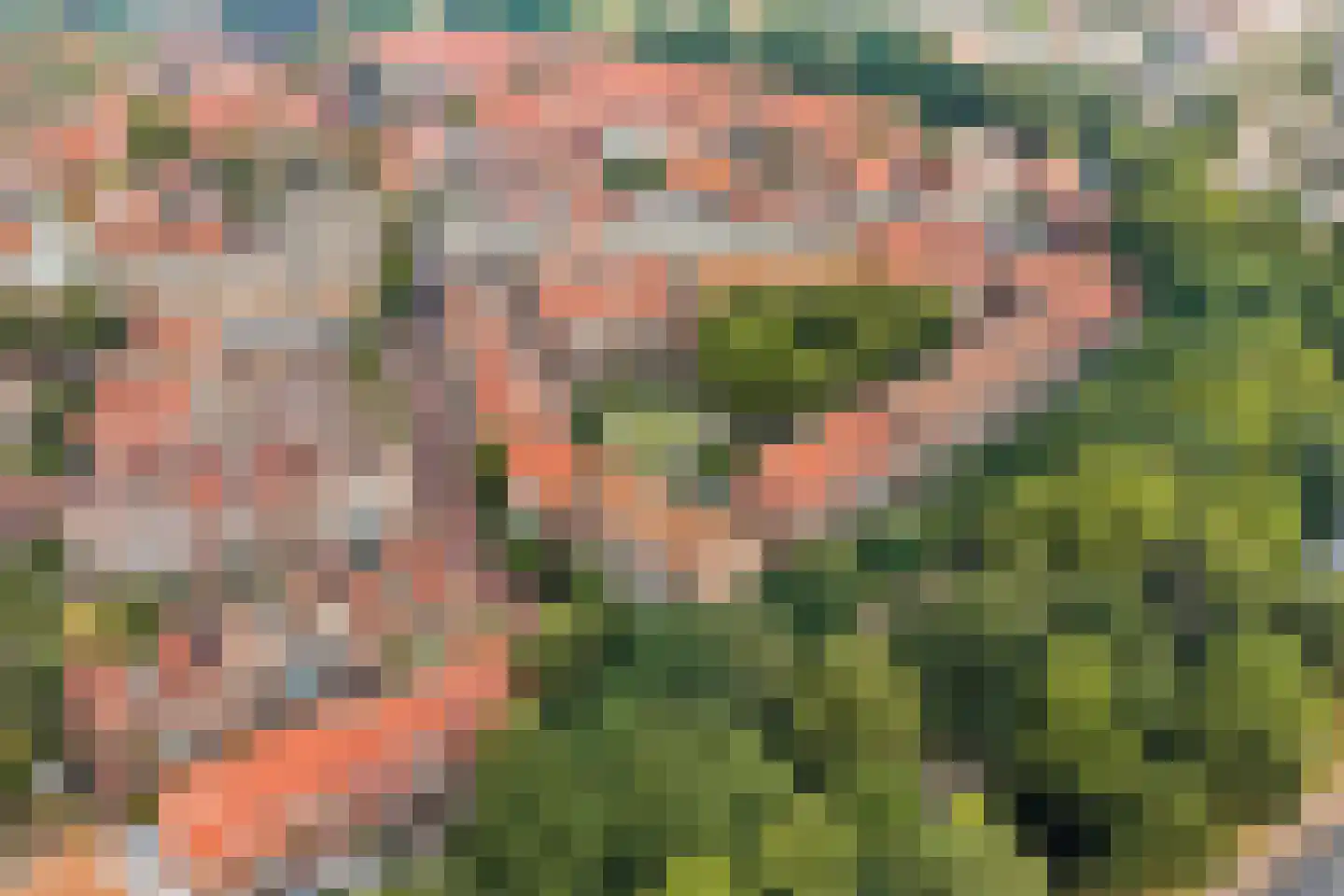 Waltoren 21 Amersfoort thumbnail 41