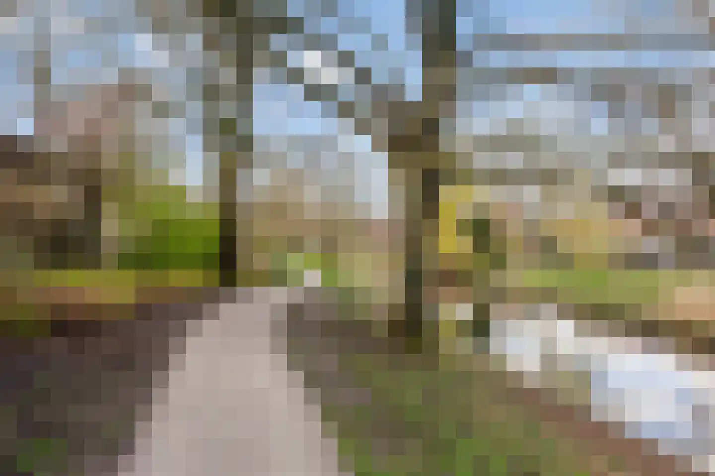Waltoren 28 Amersfoort thumbnail 18
