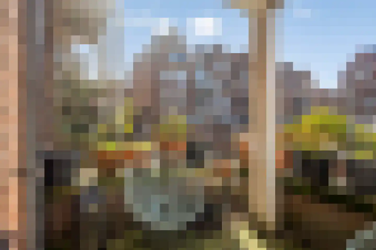 Waltoren 28 Amersfoort thumbnail 9