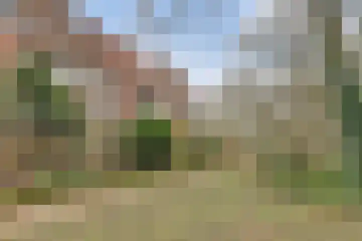 Waltoren 33 Amersfoort thumbnail 32