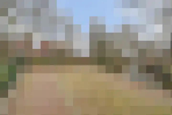 Waltoren 33 Amersfoort thumbnail 38