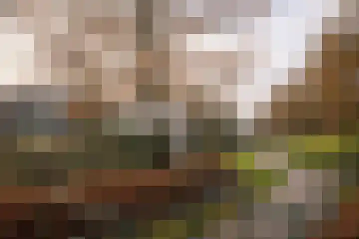 Waltoren 33 Amersfoort thumbnail 39