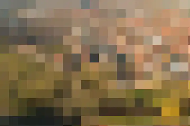 Waltoren 33 Amersfoort thumbnail 41