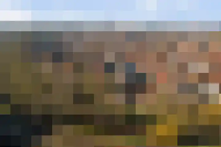 Waltoren 33 Amersfoort thumbnail 42
