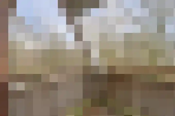Waltoren 33 Amersfoort thumbnail 5