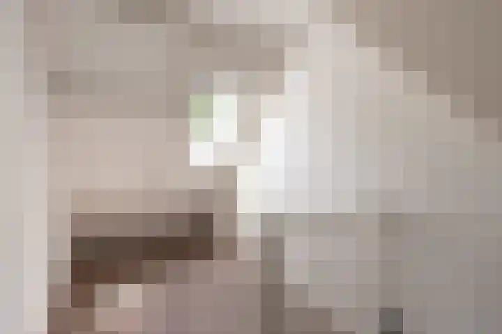 Waltoren 41 Amersfoort thumbnail 23