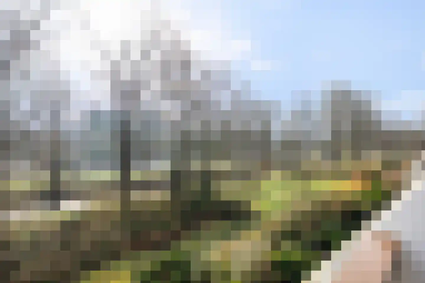 Waltoren 42 Amersfoort thumbnail 13