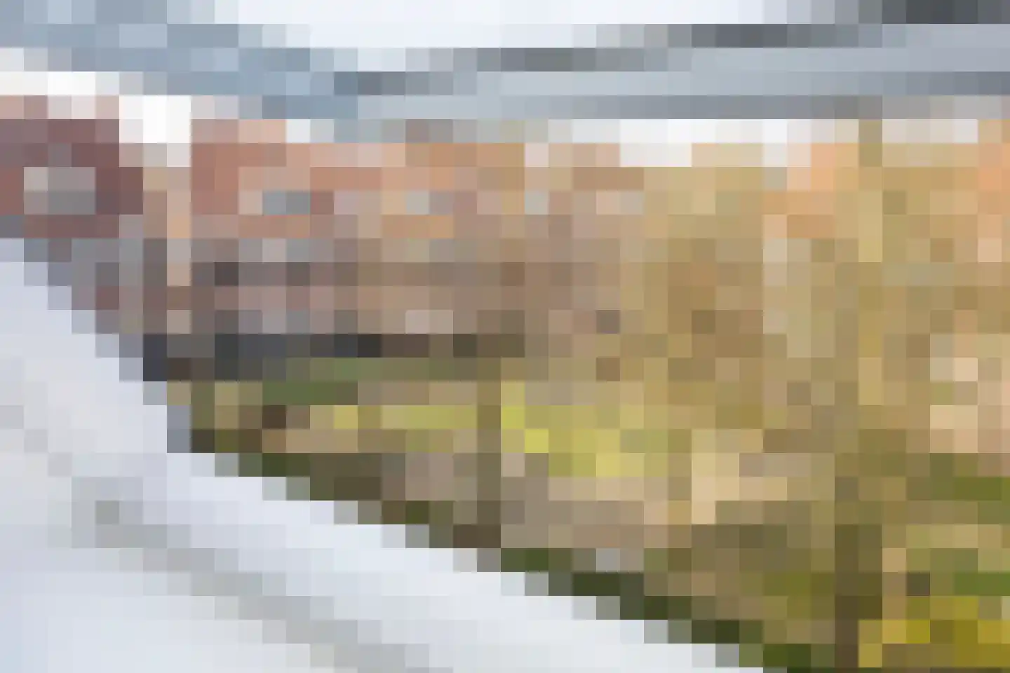 Waltoren 42 Amersfoort thumbnail 17