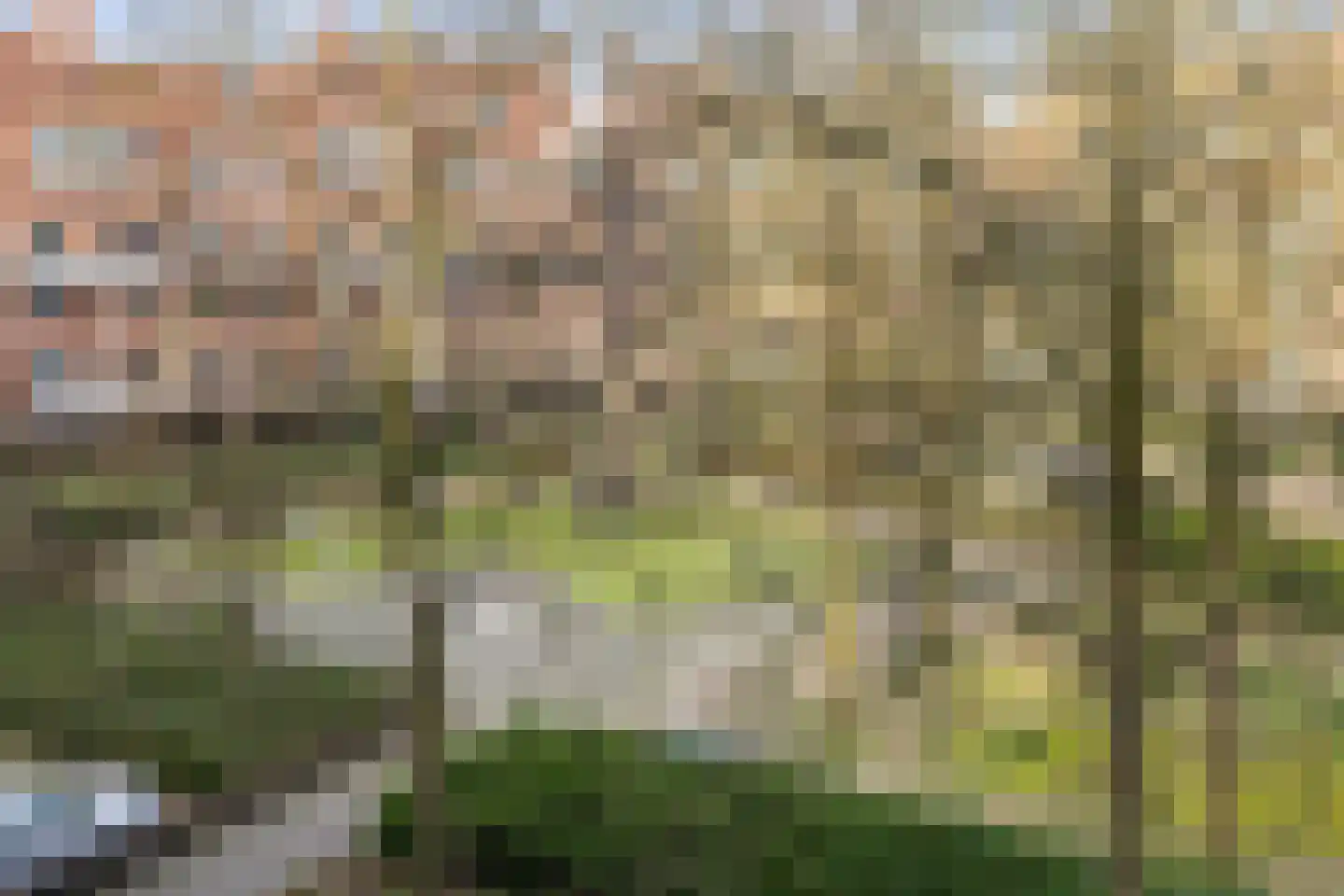 Waltoren 42 Amersfoort thumbnail 18
