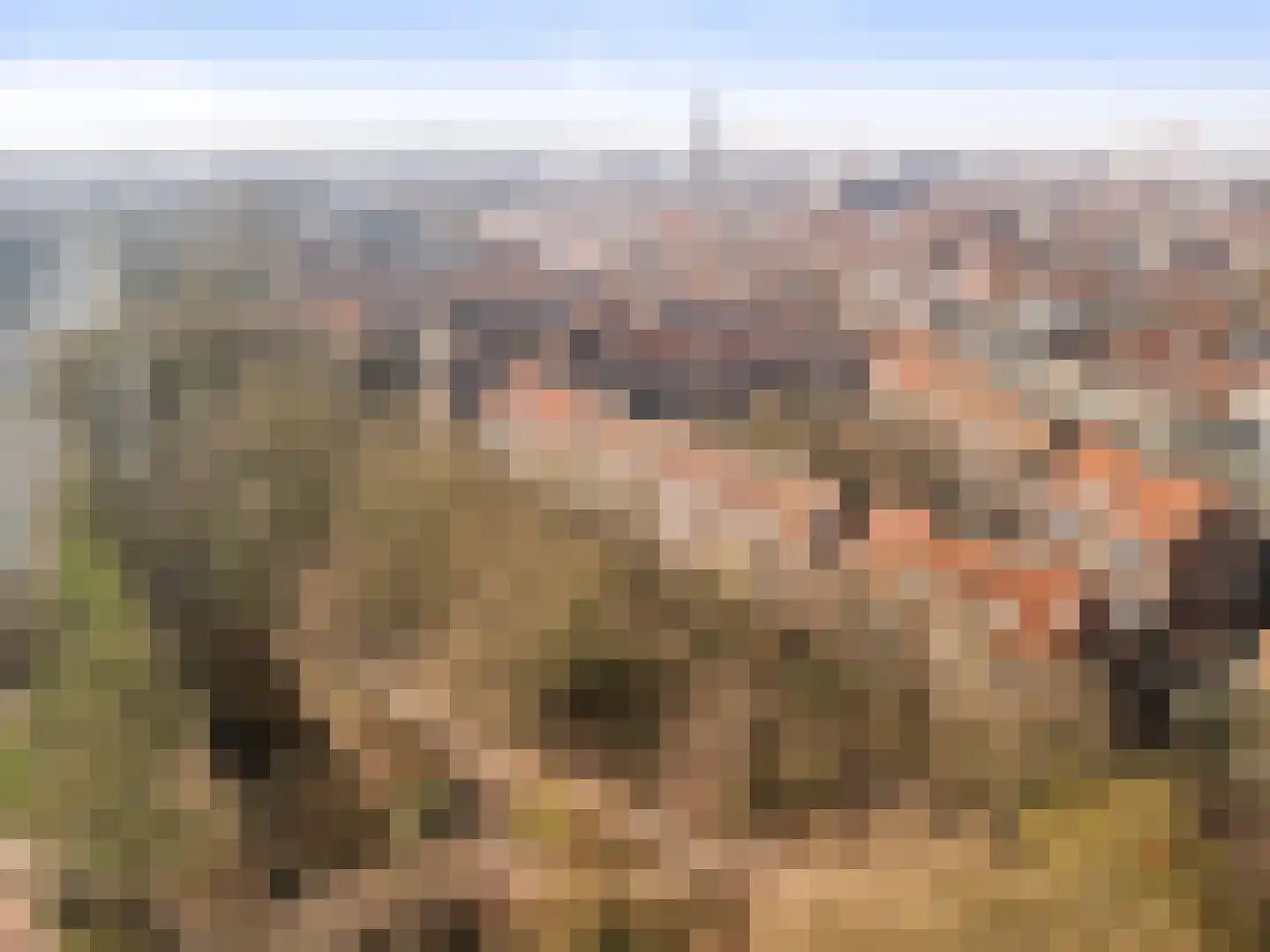Waltoren 42 Amersfoort thumbnail 30