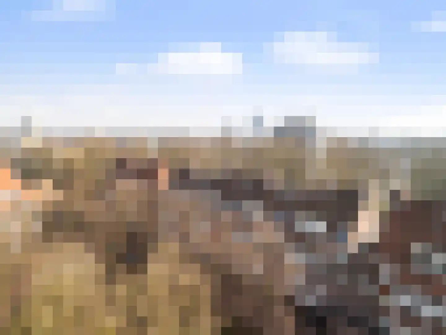 Waltoren 42 Amersfoort thumbnail 31