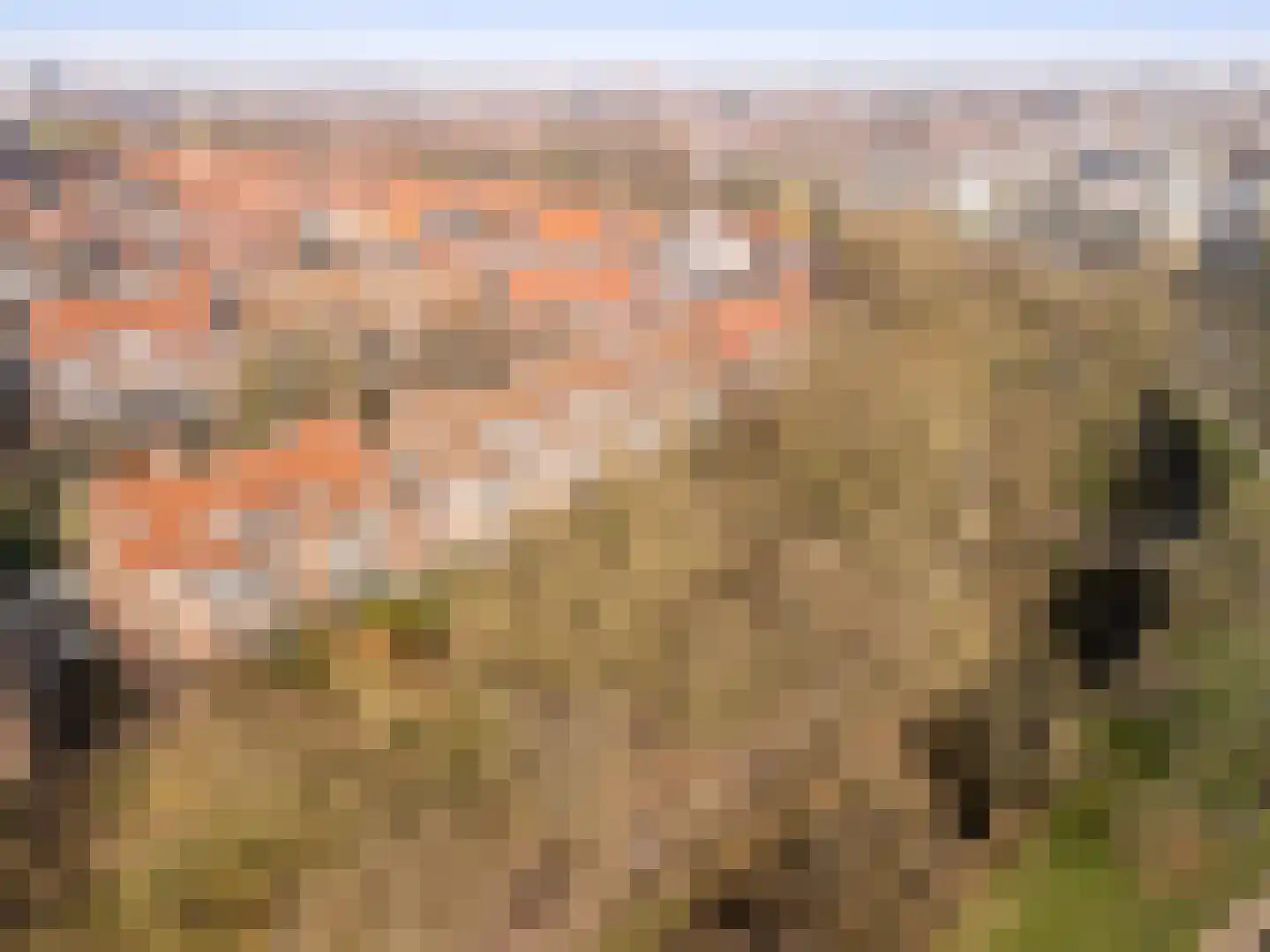 Waltoren 42 Amersfoort thumbnail 33