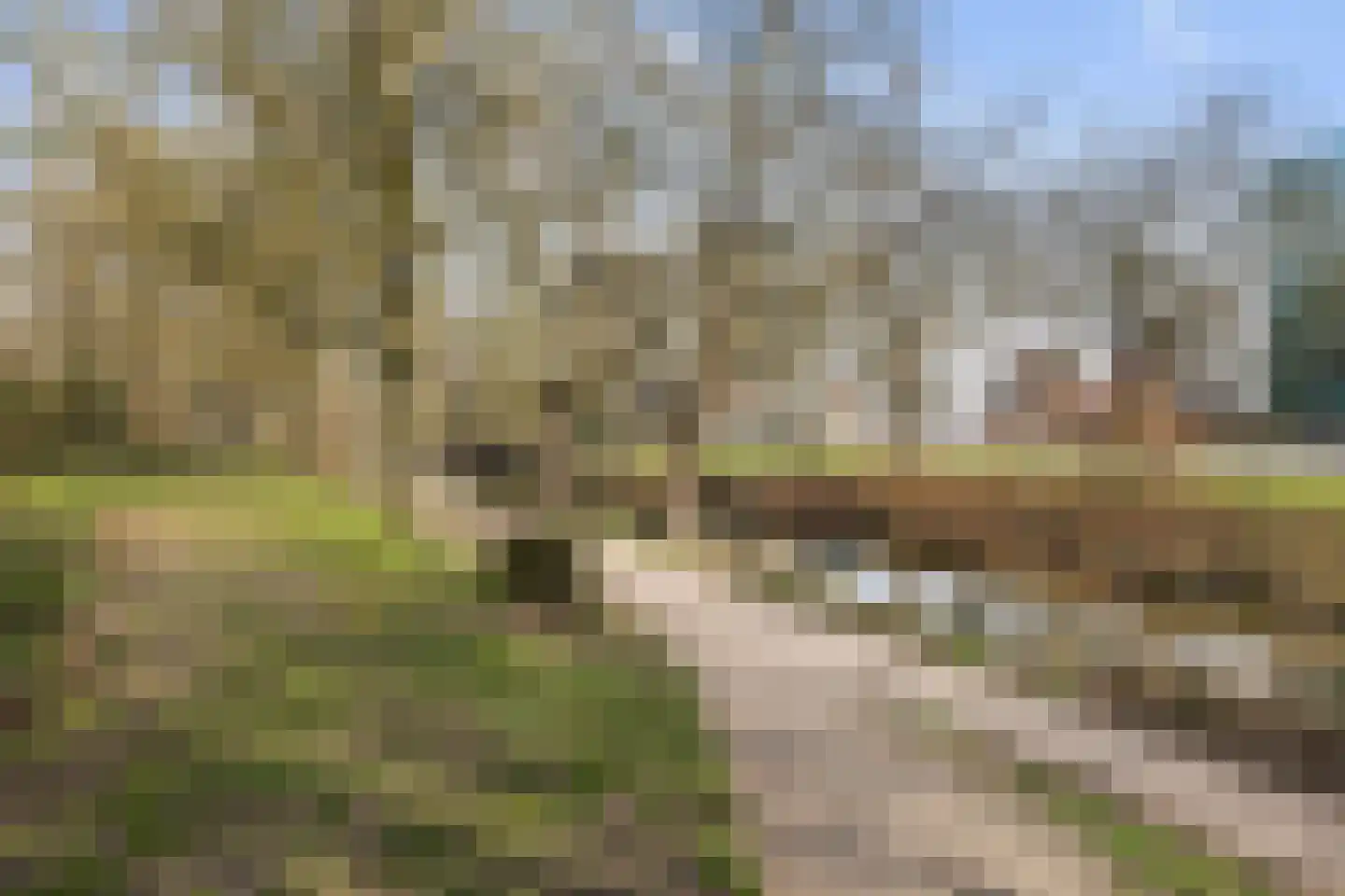 Waltoren 42 Amersfoort thumbnail 34