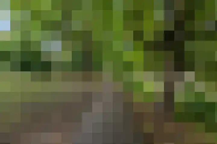 Waltoren 44 Amersfoort thumbnail 30