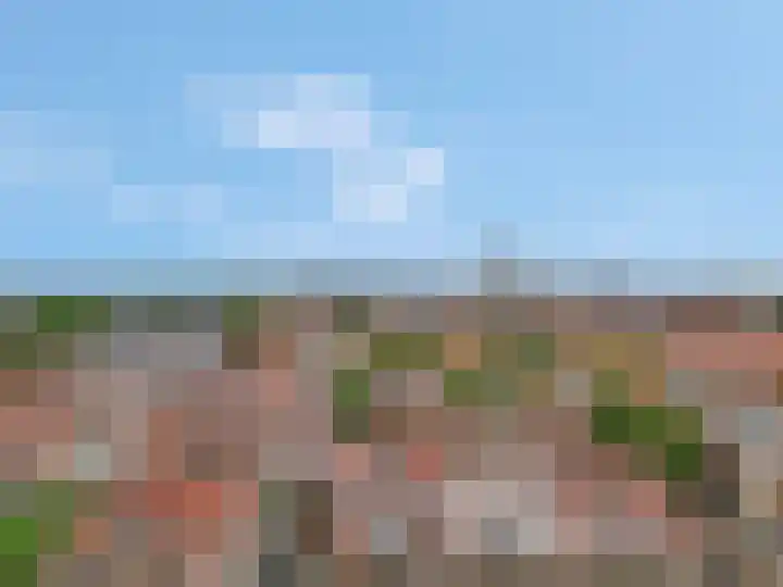 Waltoren 44 Amersfoort thumbnail 33