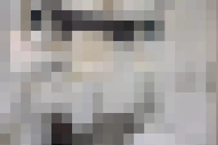 Waltoren 7 Amersfoort thumbnail 17