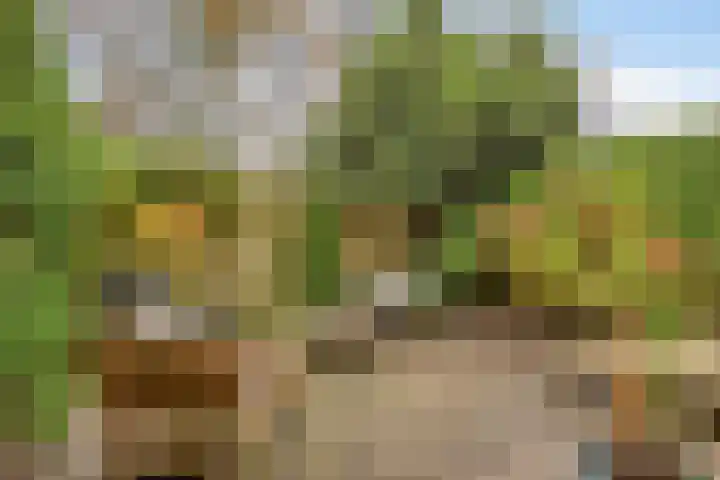 Waltoren 7 Amersfoort thumbnail 24