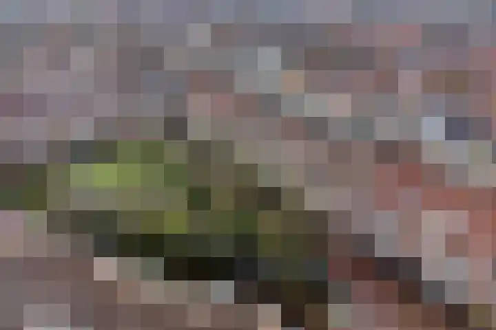 Waltoren 7 Amersfoort thumbnail 31
