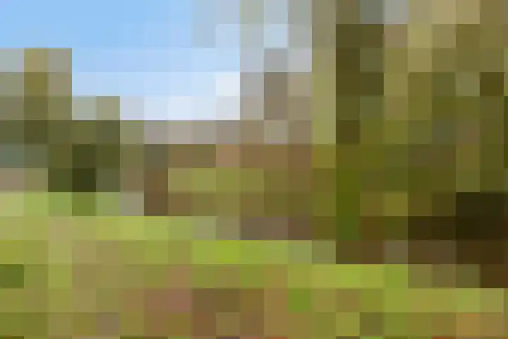 Waltoren 7 Amersfoort thumbnail 34