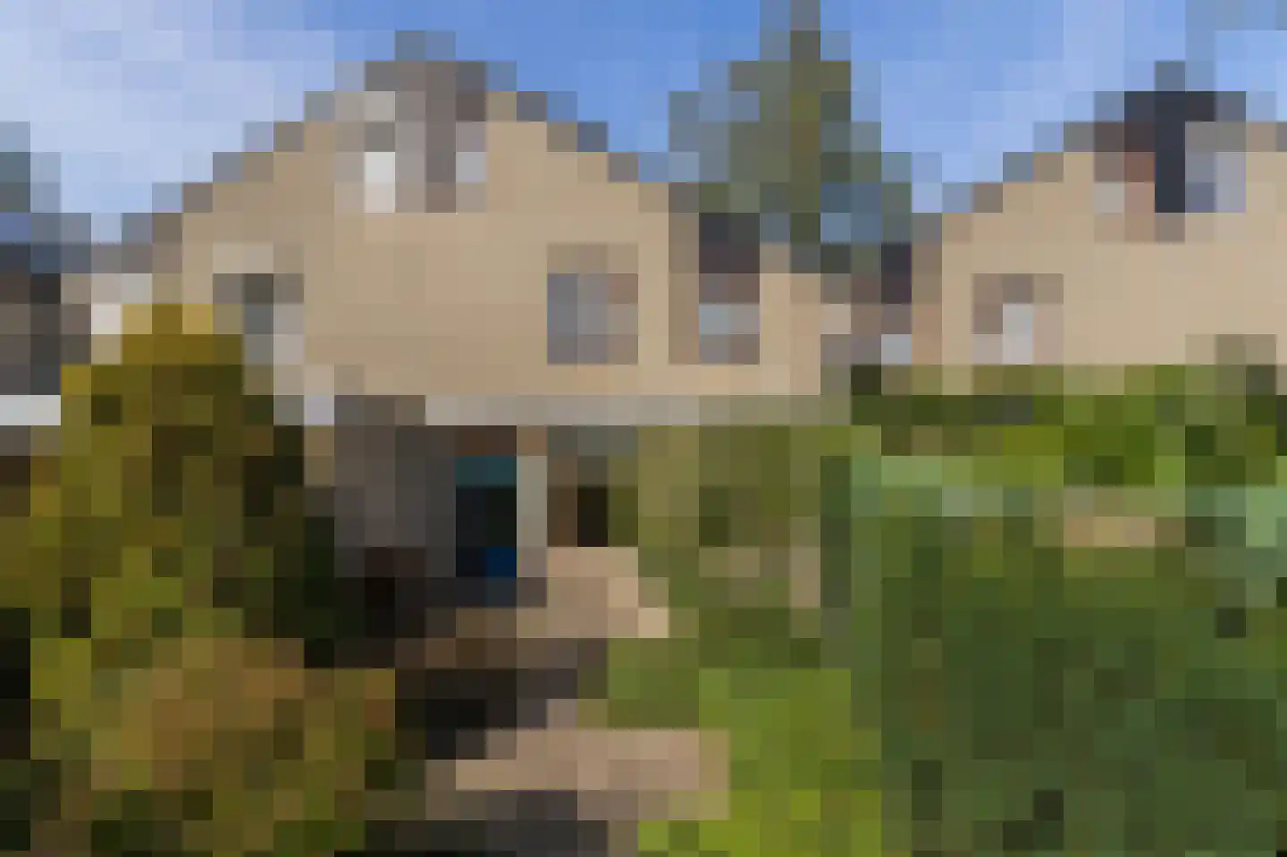 Waluwestraat 30 Zaltbommel thumbnail 33