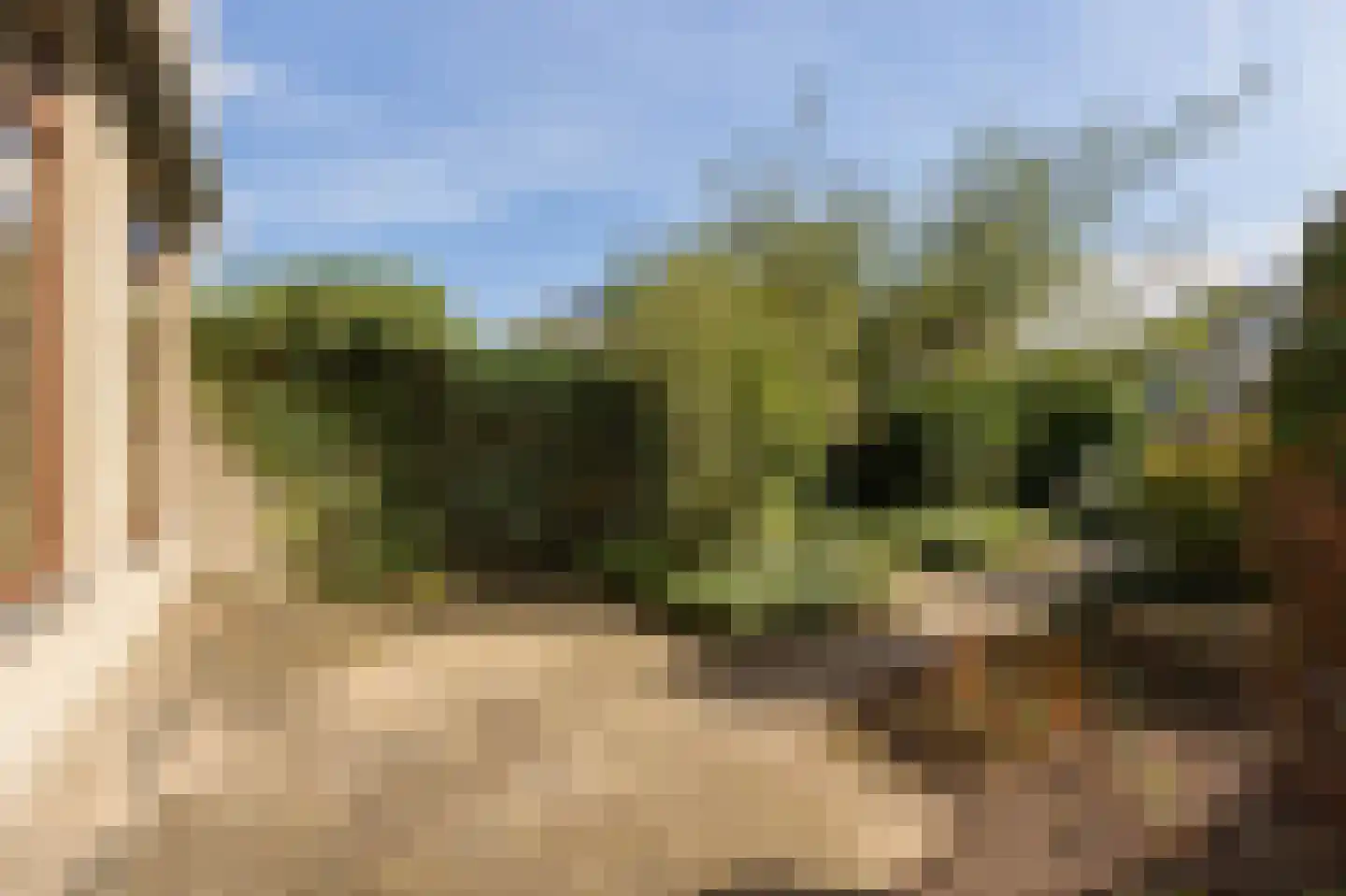 Waluwestraat 30 Zaltbommel thumbnail 35